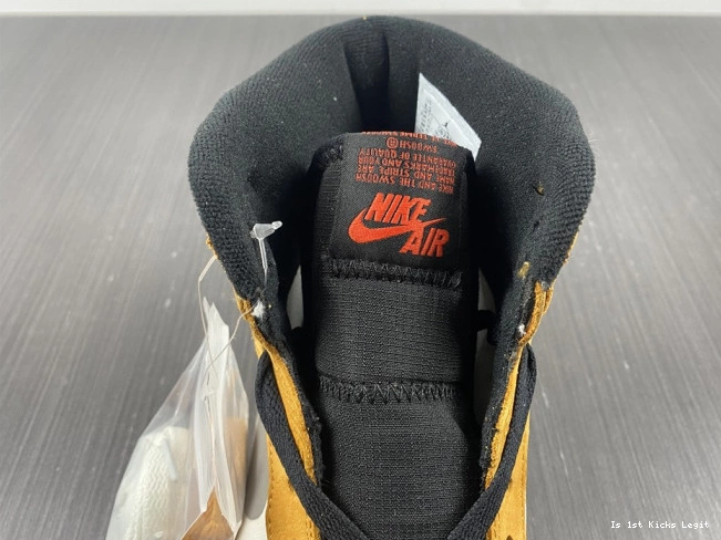 DB2889-700 Element 1 Jordan Light High Gore-Tex Curry 0703